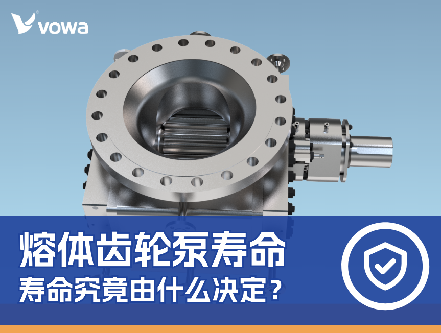 熔体齿轮泵寿命究竟由什么决定？深度解析